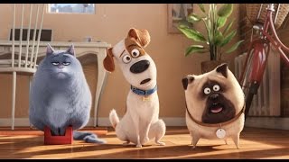 Тайная жизнь домашних животных. The secret life of pets. Решаем головоломки вместе с Максом. Тайная жизнь домашних животных. The secret life of pets. Решаем головоломки вместе с Максом.