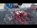 Bake alive   spiny lobster Cruel grilling 伊勢えび　残酷焼き