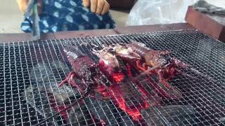 Bake alive   spiny lobster Cruel grilling 伊勢えび　残酷焼き