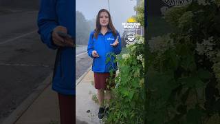 Ohioans still without power, Lowe's giving out recovery supplies, salamander returning to CBUS zoo