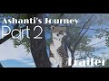 Ashanti&#39;s Journey Part 2 - Trailer (Roblox Testing A)