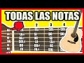 🎸Todas las notas en la GUITARRA - Notas musicales en la guitarra (teoría musical)