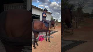 Maybe The Stirrup Is The Friend We Make Along The Way