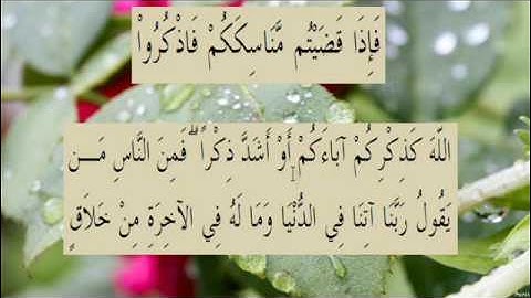 القران الكريم سورة البقرة الاية 200