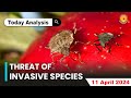 How Invasive Species Threaten Natural Ecosystems | Vajirao IAS English