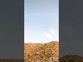 ضارب من كل مضارب حي ضارب من كل مضارب حي