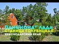 Пансионат Лада. Станица Голубицкая. Краснодарский край. Август 2016