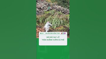 Bãi rác ở Đà Lạt sạt lở tràn xuống vườn cà phê #shorts