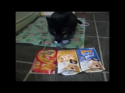cat แปลว่า Ansku getting her B day gift