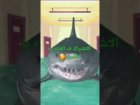 فيديو: هل ضرب سيمبا أم فشل؟