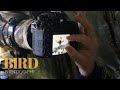 BIRD PHOTOGRAPHY from photo blind || TIPS AND TRICKS on wild birds
