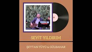 Seyit Yıldırım| Şeytan Tüyü & Gülbahar (2025 Maksi̇m) Resimi