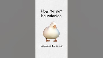 How to set boundaries (explained by ducks)