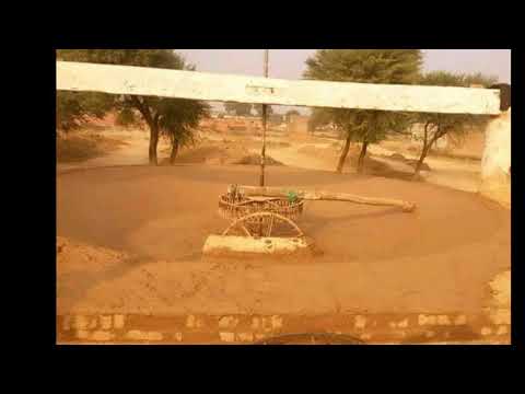 Akhada Dhal Kakka Some Pics