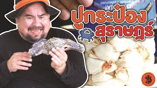 ปูกระป๋อง สุราษฎร์ | Canned crab Surat Thani