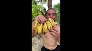 These Bananas Are Not What You Think