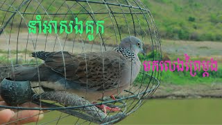 នាំអា​ សងគូក​ មកលេងព្រៃភ្នុំ -​ 0716868329