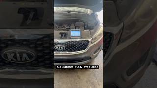 Kia Sorrento Evap Code p0447. Critter problems !