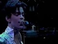 PrinceMusicologyTourDetroit plus Acoustic Set plus Purple Rain