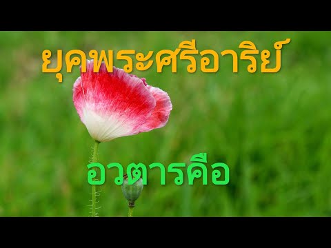 ยุคพระศรีอาริย์, เรื่องอวตารคืออะไรทำไมใคร,?