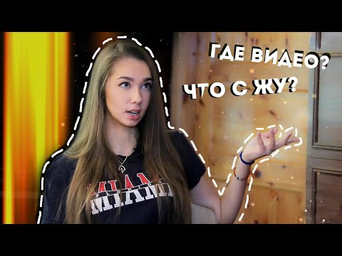 Видео: ПРОДАЛА ЛОШАДЬ? БУДУТ ЛИ ЕЩЕ ВИДЕО? ЖЕРЕБЕНОК? | Вопрос-Ответ