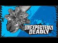 The Battle Of UNEXPECTED DEADLY Encounters | Deadly Animal Showdowns | BBC Earth Kids