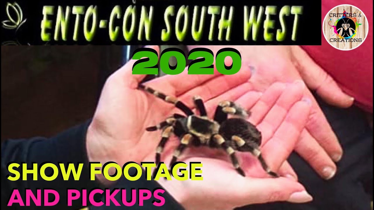 Entocon 2020