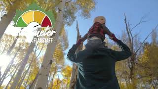 Discover Fall with the LEAF-ometer
