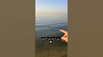 كيفية صيد السمك على الشاطئ Shorts 