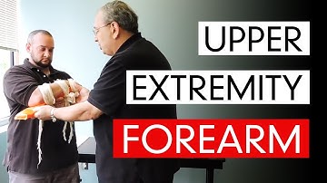 Upper Extremity - Forearm