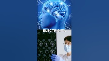 Your Brain Can Power a Light Bulb – Mind-Blowing Science! ⚡🧠