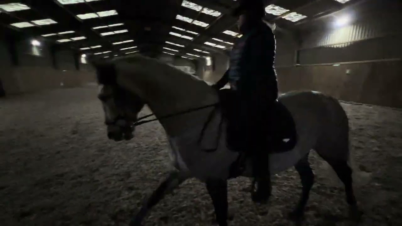 Nicola Sloper & cacique GC novice 3A Feb 2026