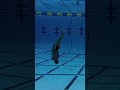 The swimming expert s sense of water is really strong. They can turn around smoothly and