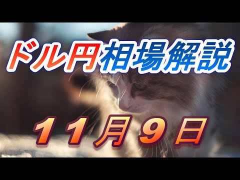 【TAKA FX】ドル円為替相場の前日の動きをチャートから解説。日経平均、NYダウ、金チャートも。11月9日