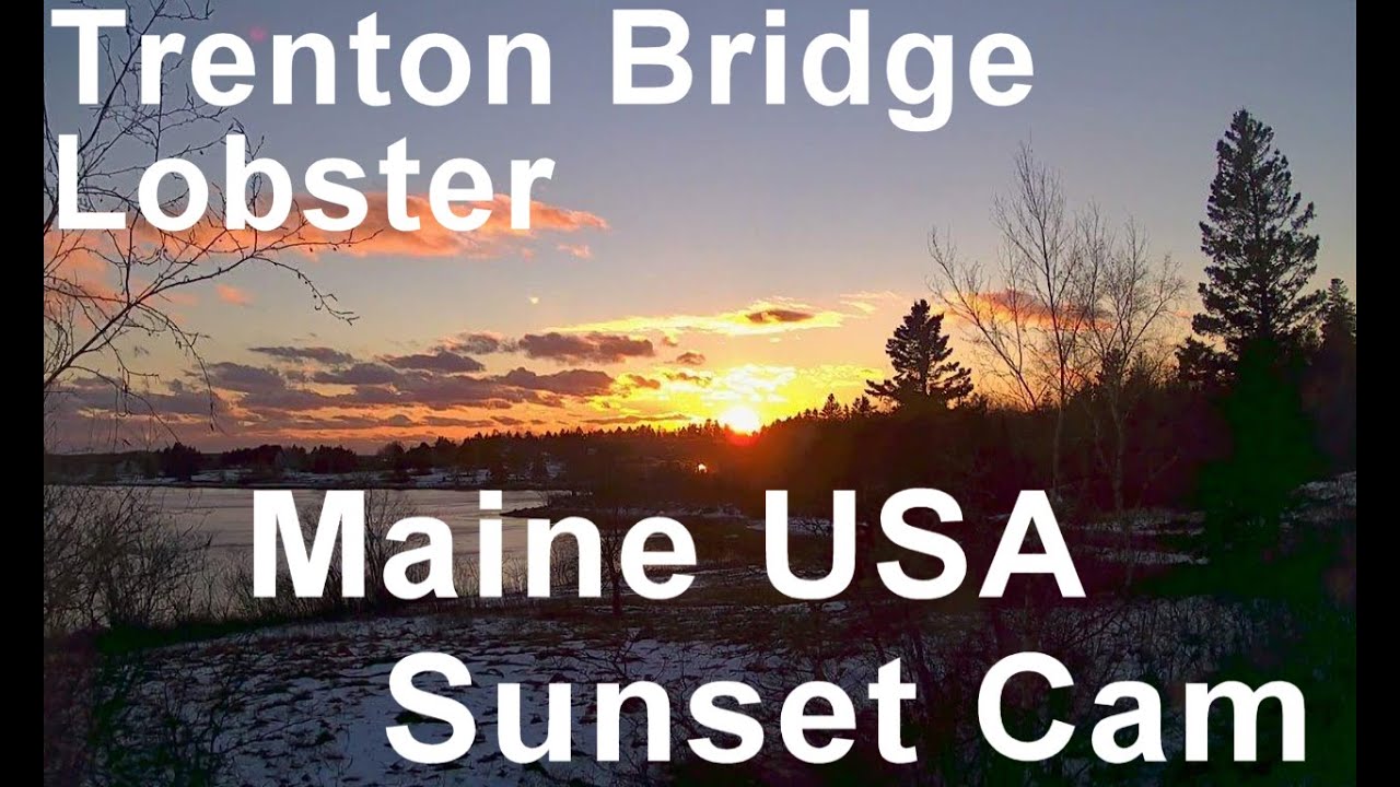 Trenton Bridge Lobster – Acadia National Park Gateway, Maine live camera thumbnail