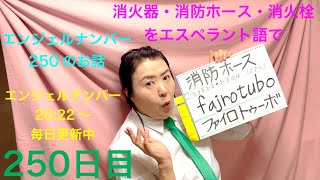 【250日目】　#火災   ■ 消火器　■ 消防ホース　■ 消火栓をエスペラント語で‼️  #語学 #暗記 #自己肯定感 #消火器 #消火栓 #エンジェルナンバー #250 #スピリチュアル