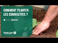 [TUTO] Comment planter les courgettes ? – Jardinerie Gamm vert
