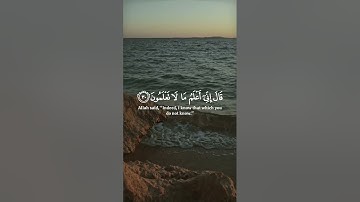 كيف تكفرون بالله | الشيخ ياسر الدوسري سورة البقرة #القرآن_الكريم ♡