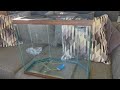 How to Reseal a Leaking Fish Tank the RIGHT Way! (Half-Octagon Challenge)