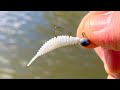 Micro Lure Fishing on the Canal for Anything that Bites!