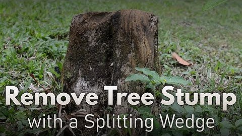 Remove tree stump with a splitting wedge