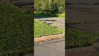 IMG 3891