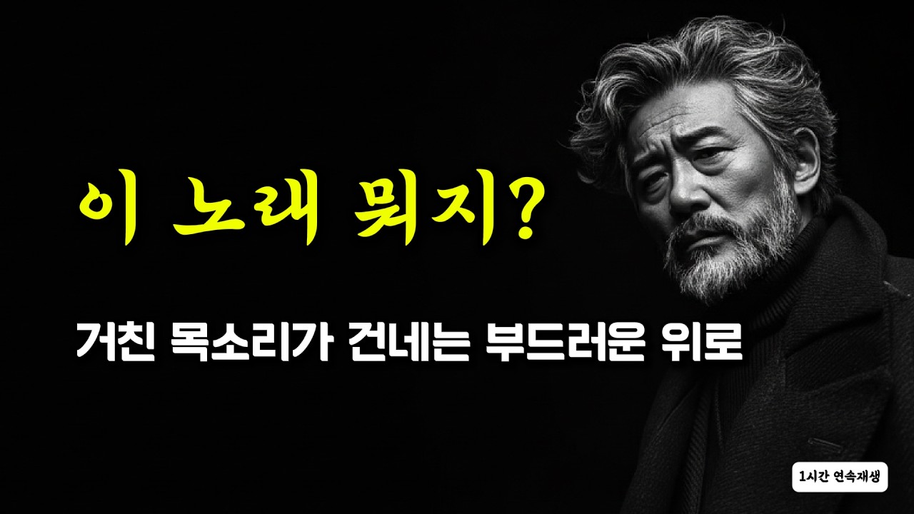 이 노래 뭐지? | 거친 목소리가 건네는 부드러운 위로 | 살아오느라 고생한 당신에게 바칩니다   | 오늘 밤, 혼자 듣는 위로의 노래