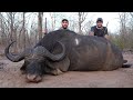 Tank of a Buffalo!!! Hunting Buffalo in Zimbabwe / Episode 5
