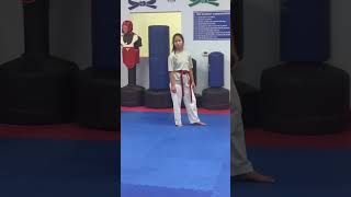 Taekwondo Board Breaking Technique