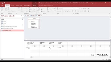 Creating a Query with Compound Criteria using "And" operator Part 2 | Tech Veggies