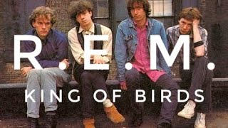 R.E.M. King of birds. Lyric video