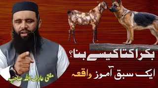 بکرا کتا کیسے بنا ؟ | ایک سبق آموز واقعہ | مفتی عارف اللہ حفظہ اللہ | Sujakhel Tv |