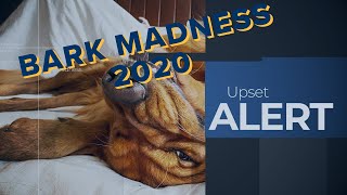 Bark Madness 2020 - Round One Results