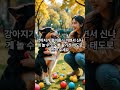 강아지 와 즐거운 시간을 보내다